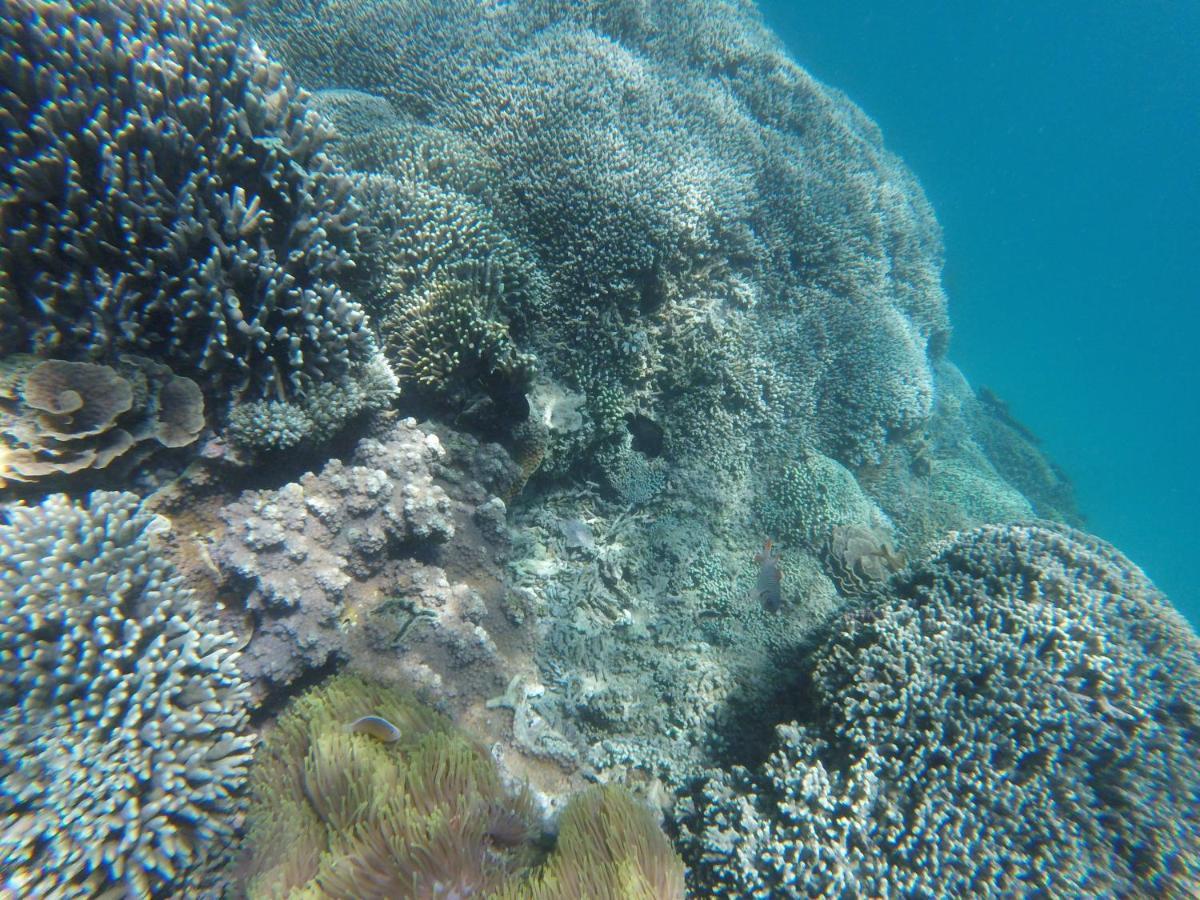 مبيت وإفطار Kwale Mami Wata House المظهر الخارجي الصورة