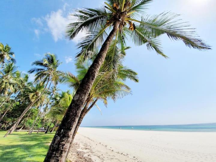 مبيت وإفطار Kwale Mami Wata House المظهر الخارجي الصورة